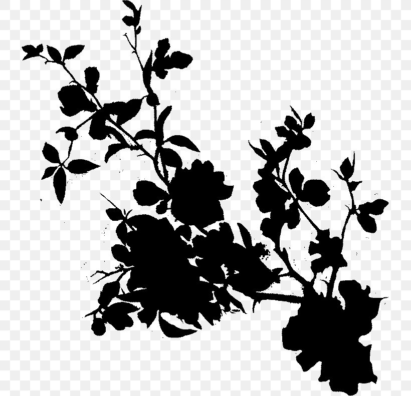Twig Plant Stem Leaf Pattern Silhouette, PNG, 735x791px, Twig, Art, Blackandwhite, Botany, Branch Download Free