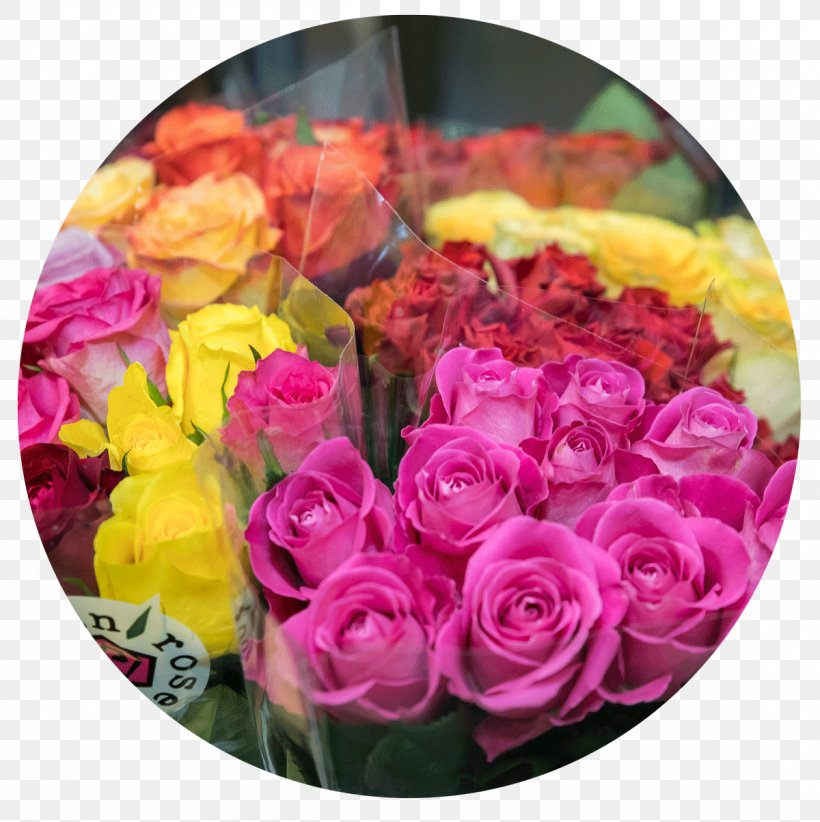 Garden Roses Blumen Baccara Cut Flowers, PNG, 1200x1203px, Garden Roses, Blume, Cut Flowers, Floral Design, Floristry Download Free