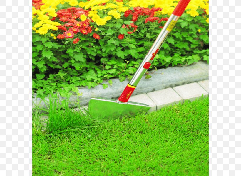 Lawn Edger Garden String Trimmer Tool, PNG, 800x600px, Lawn, Edger, Garden, Garden Design, Garden Tool Download Free