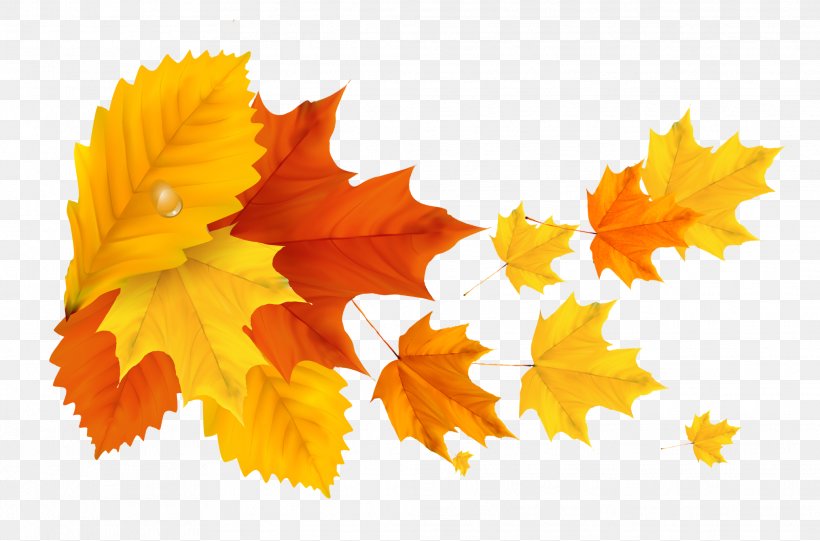 Leaf Autumn Light Clip Art, PNG, 2027x1338px, Leaf, Autumn, Autumn Leaf Color, Color, Flower Download Free