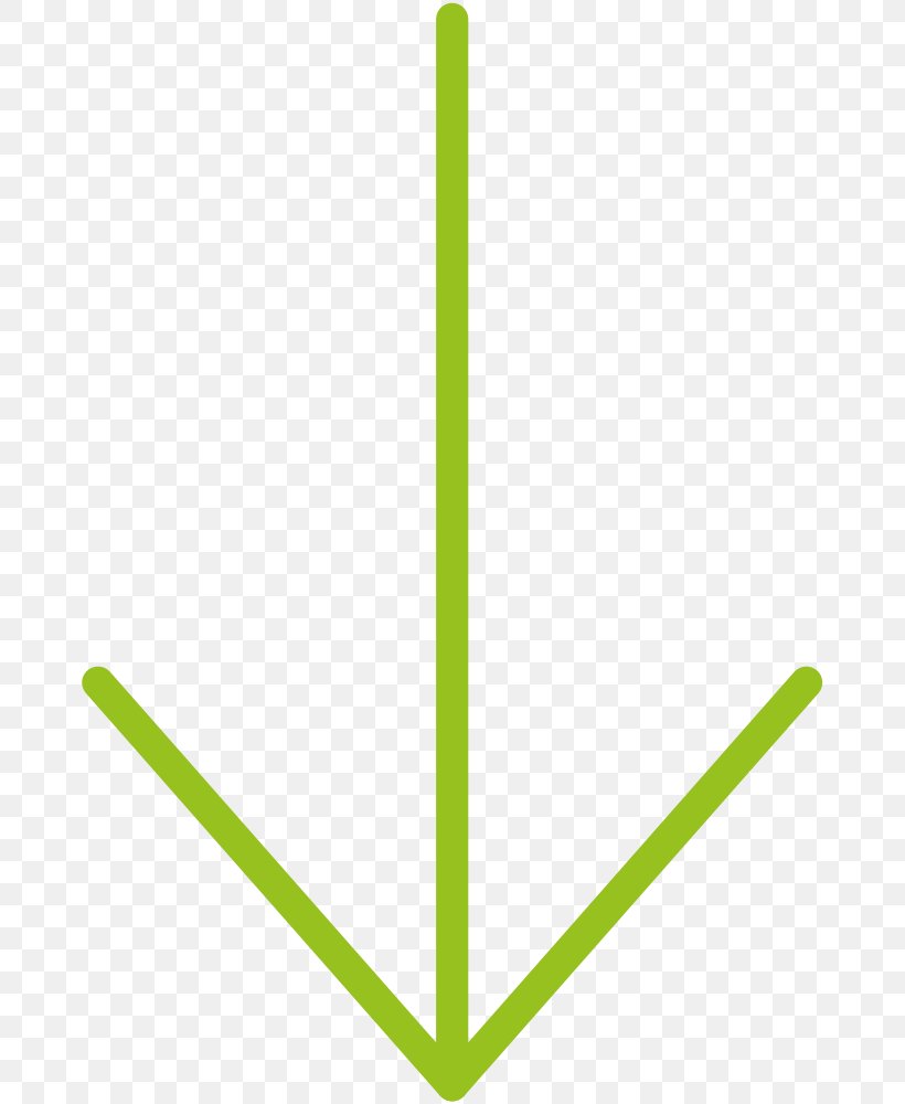 Line Point Angle, PNG, 675x1000px, Point, Grass, Grass Family, Green, Plant Stem Download Free