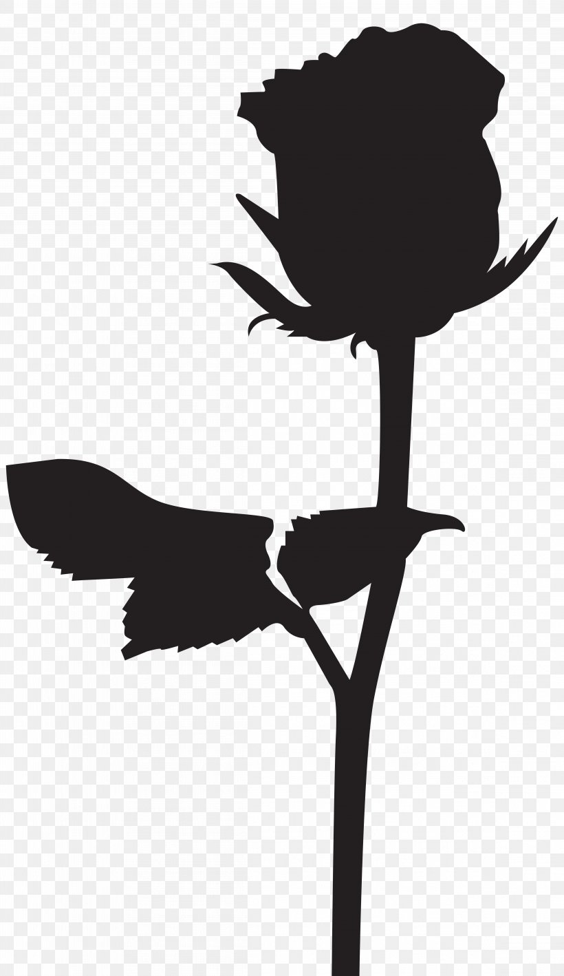 Silhouette Black Rose Drawing Clip Art, PNG, 4624x8000px, Silhouette, Beak, Bird, Black And White, Black Rose Download Free