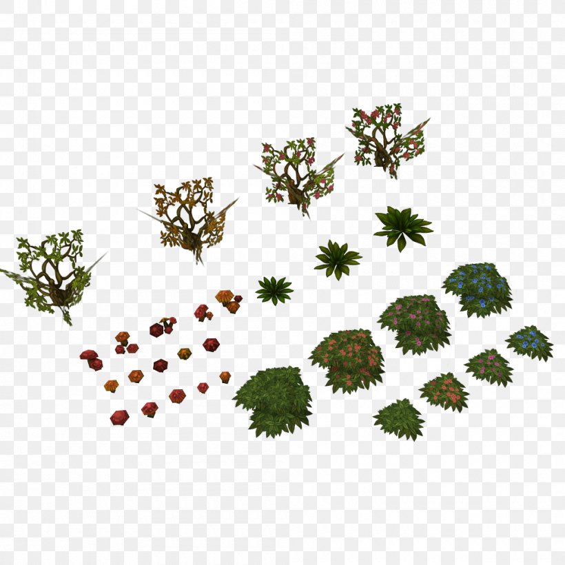 Tree Texture, PNG, 1000x1000px, 3d Computer Graphics, Low Poly, Cartoon, Fennel Flower, Flower Download Free
