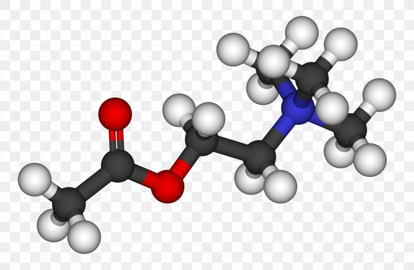Acetylcholine Neurotransmitter Acetic Acid Methyl Acetate Receptor, PNG, 1200x784px, Watercolor, Cartoon, Flower, Frame, Heart Download Free