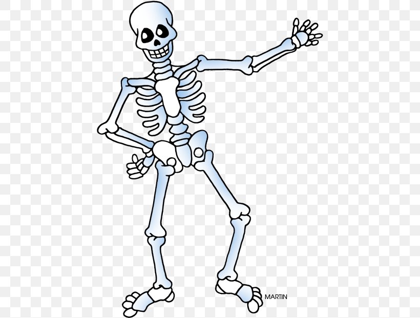 Clip Art Free Content Human Skeleton Openclipart, PNG, 443x621px, Skeleton, Arm, Balance, Bone, Cartoon Download Free