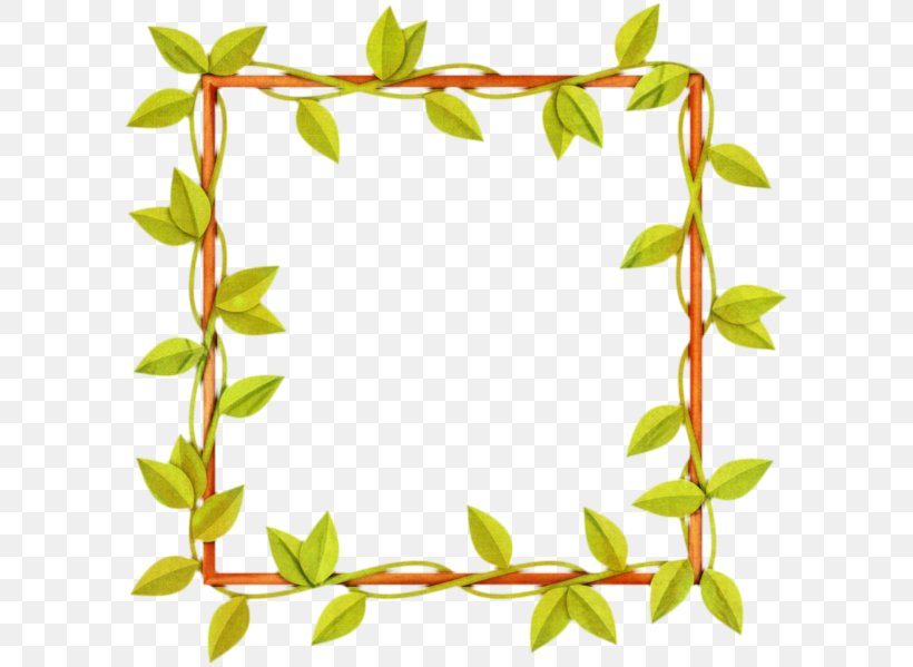 Flower Photo Frame, PNG, 600x599px, Vine, Borders And Frames, Branch, Calameae, Flower Download Free
