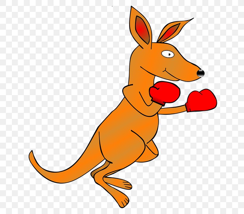 Kangaroo Clip Art, PNG, 720x720px, Kangaroo, Animal Figure, Artwork, Boxing Glove, Boxing Kangaroo Download Free