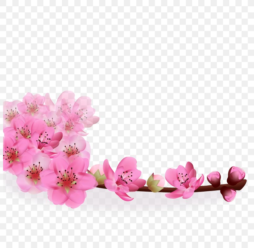 Realistic Sakura, PNG, 800x800px, Flower, Blossom, Cherry Blossom, Cut Flowers, Floral Design Download Free