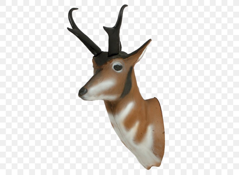 Springbok Pronghorn Antelope Impala Deer, PNG, 600x600px, Springbok, Antelope, Antler, Archery, Cow Goat Family Download Free