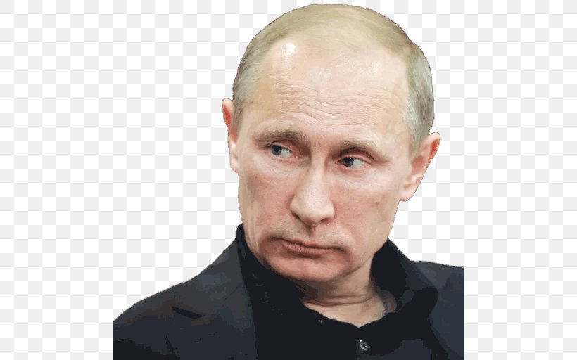 Vladimir Putin President Of Russia United States, PNG, 512x512px, Vladimir Putin, Cheek, Chin, Ear, Elder Download Free
