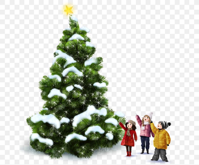 Abies Alba Christmas Tree Conifer Cone Pseudotsuga Menziesii Var. Menziesii, PNG, 658x682px, Abies Alba, Child, Christmas, Christmas Decoration, Christmas Ornament Download Free