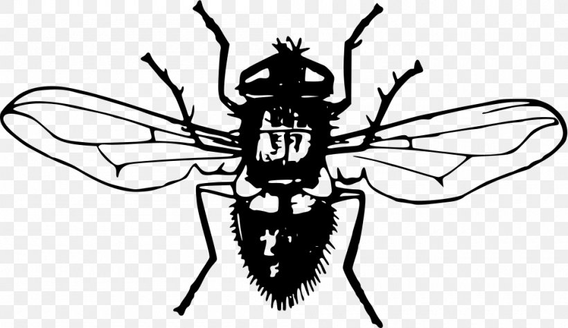 Insect Fly Clip Art, PNG, 1000x577px, Insect, Arthropod, Artwork, Black And White, Fictional Character Download Free