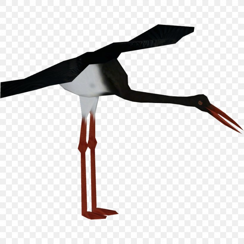 Bird, PNG, 884x884px, White Stork, Beak, Bird, Bird Stork, Black Stork Download Free