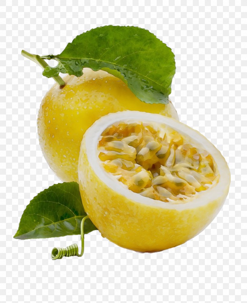 Food Fruit Plant Passion Fruit Natural Foods, PNG, 1563x1919px, Watercolor, Citrus, Food, Fruit, Ingredient Download Free