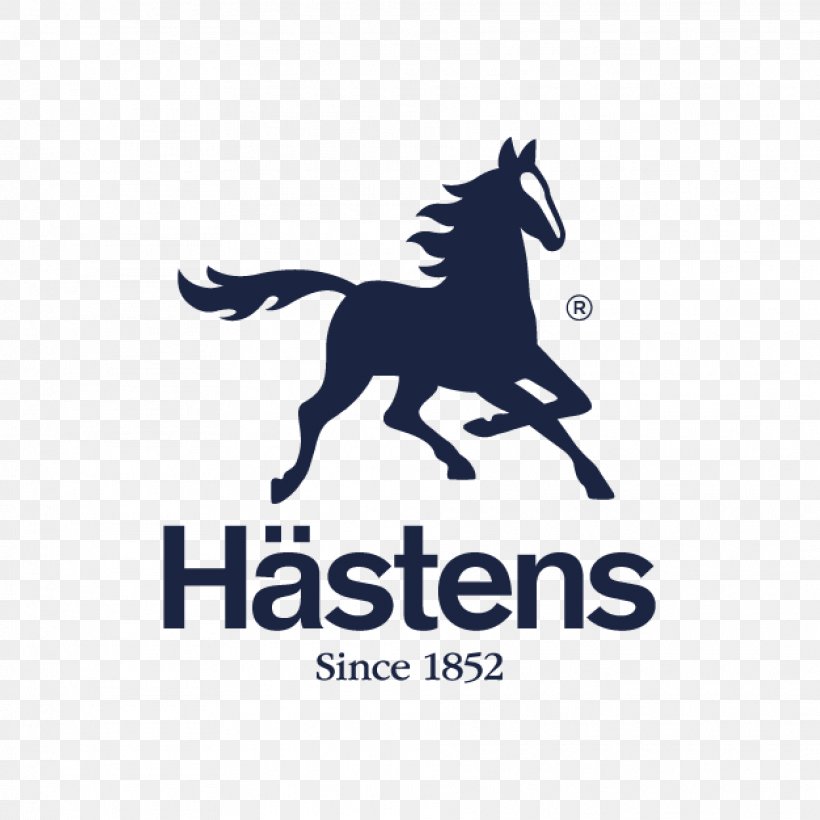 Hästens Bed Mattress Sleepy's Pillow, PNG, 1875x1875px, Bed, Brand, Couch, Curtain, Down Feather Download Free