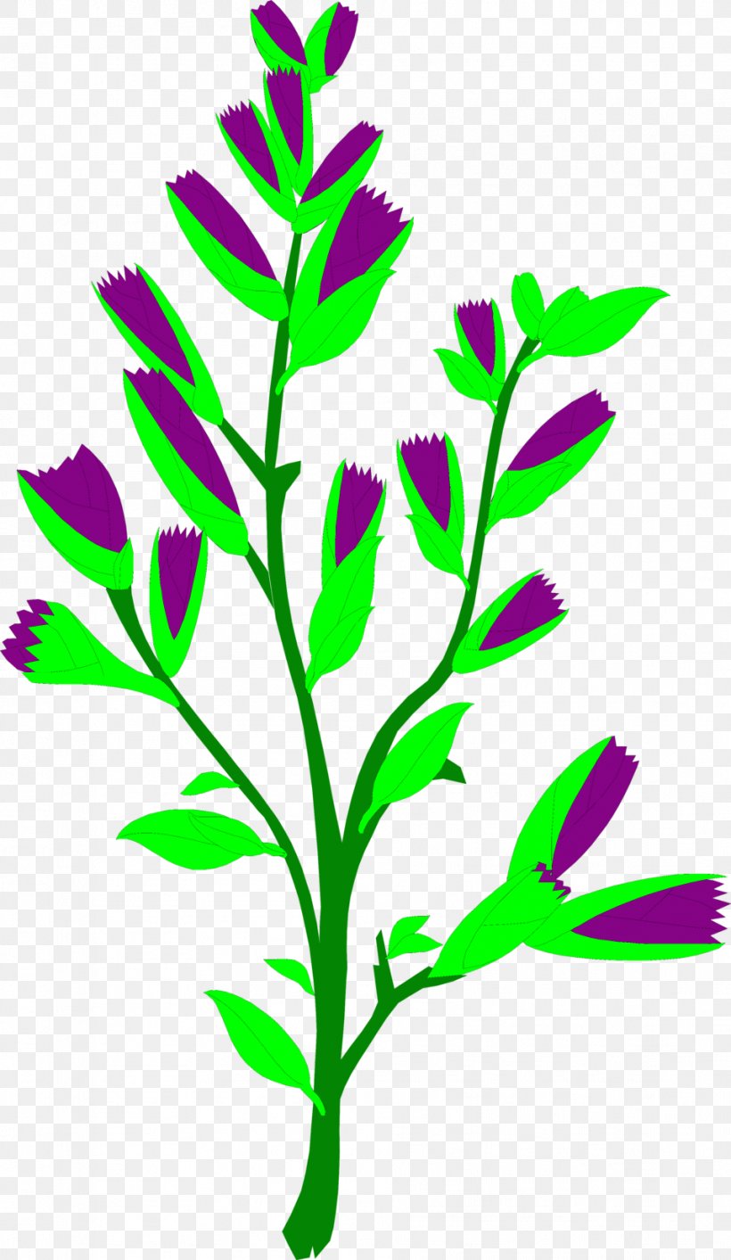 Plant Herb Common Sage Food Clip Art, PNG, 958x1651px, Plant, Chef, Common Sage, Flower, Flowering Plant Download Free