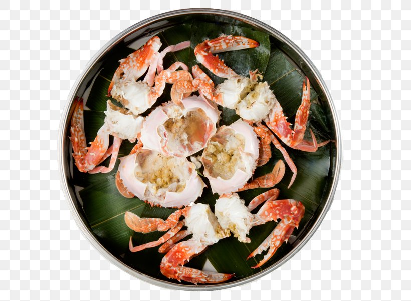 Samgye-tang Shrimp Food Chicken Soup Scampi, PNG, 640x602px, Samgyetang, Animal Source Foods, Chicken, Chicken Soup, Cooking Download Free