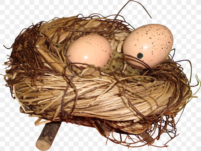 Bird Nest Egg, PNG, 1400x1057px, Bird, Bird Egg, Bird Nest, Clutch, Easter Download Free