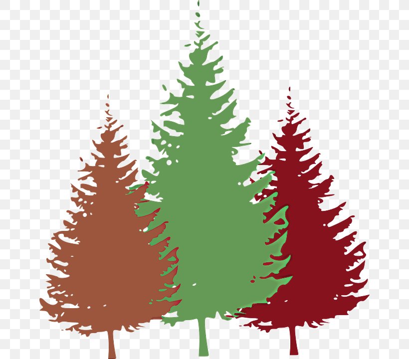 Christmas Tree, PNG, 662x720px, Shortleaf Black Spruce, Balsam Fir, Christmas Decoration, Christmas Tree, Colorado Spruce Download Free