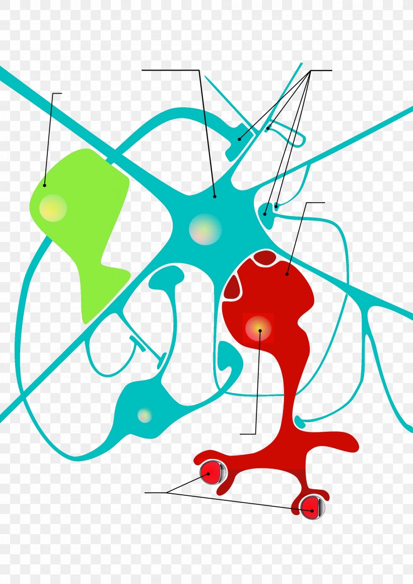 Clip Art Neuroglia Neuron Astrocyte Cell, PNG, 1920x2715px, Watercolor, Cartoon, Flower, Frame, Heart Download Free