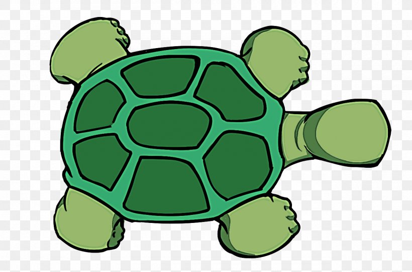 Green Tortoise Sea Turtle Turtle Clip Art, PNG, 1280x848px, Green, Green Sea Turtle, Pond Turtle, Reptile, Sea Turtle Download Free