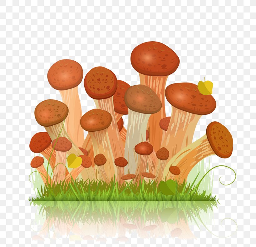 Honey Fungus Edible Mushroom Vector Graphics, PNG, 800x790px, Honey Fungus, Edible Mushroom, Food, Fungus, Gilled Mushrooms Download Free
