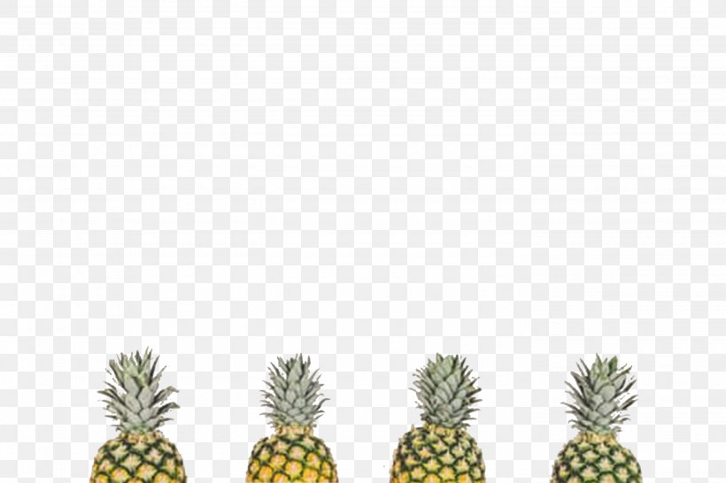 Paper LEAFLET!! Poster, PNG, 2800x1867px, Paper, Ananas, Apple, Background Light, Bromeliaceae Download Free