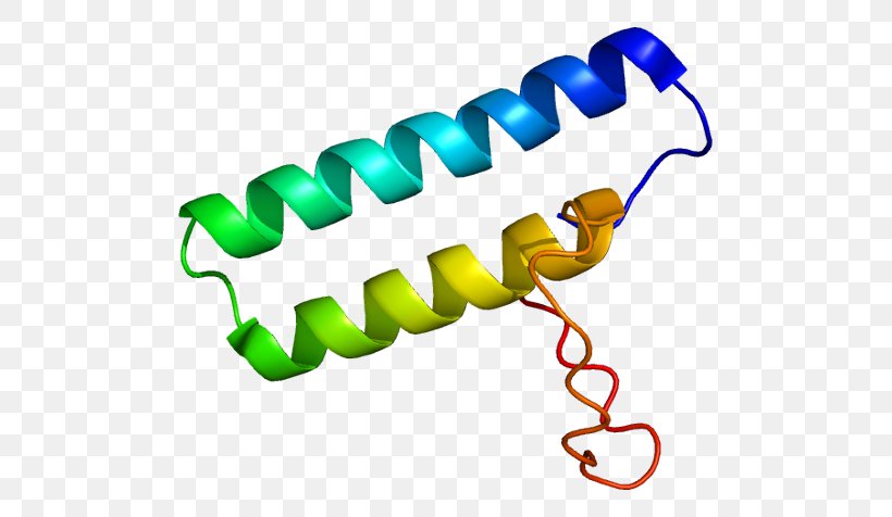Protein Transfer RNA Aminoacyl TRNA Synthetase Translation Gene, PNG, 541x476px, Protein, Aminoacyl Trna Synthetase, Aminoacyltrna, Area, Artwork Download Free