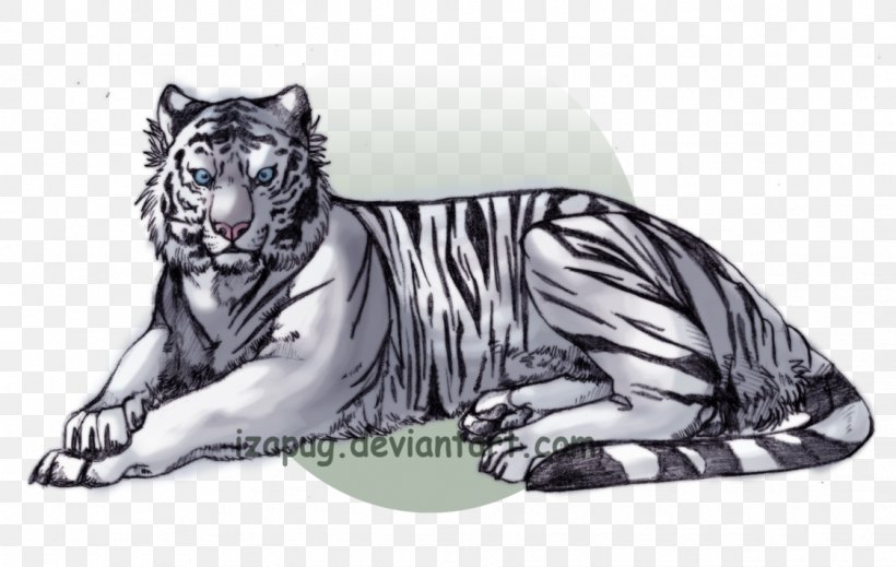 White Tiger Drawing Bengal Cat, PNG, 1123x711px, Watercolor, Cartoon, Flower, Frame, Heart Download Free