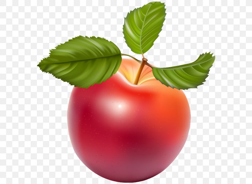 Apple Clip Art, PNG, 591x600px, Apple, Berry, Diagram, Diet Food, Food Download Free