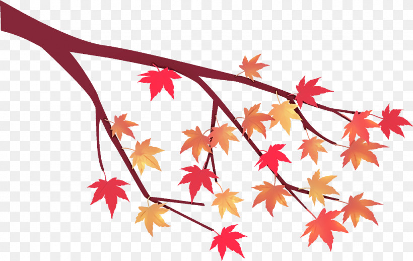 Maple Tree Branch Maple Tree Autumn, PNG, 1024x648px, Maple Tree Branch, Autumn, Black Maple, Branch, Flower Download Free