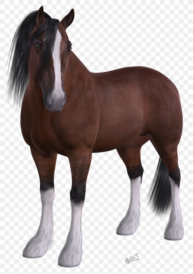 Mustang Stallion Felidae Pony Pack Animal, PNG, 1008x1431px, Mustang, Cat, Deer, Dog, Drawing Download Free