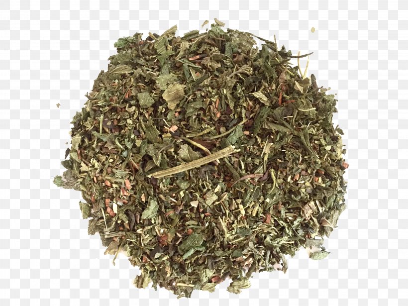 Nilgiri Tea Herb Organic Food Hōjicha, PNG, 3264x2448px, Tea, Assam Tea, Bancha, Basil, Biluochun Download Free