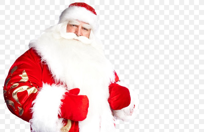 Santa Claus Ded Moroz Christmas Snegurochka Gift, PNG, 800x532px, Santa Claus, Christmas, Christmas Eve, Christmas Ornament, Ded Moroz Download Free