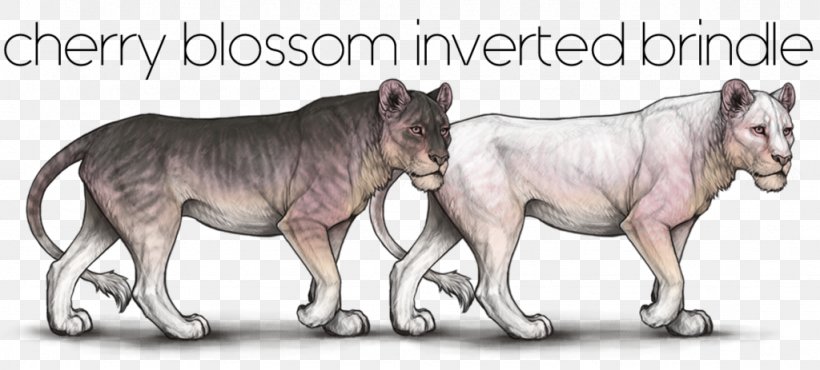 Mane Pony Mustang Cat Pack Animal, PNG, 1024x463px, Mane, Animal, Animal Figure, Big Cat, Big Cats Download Free