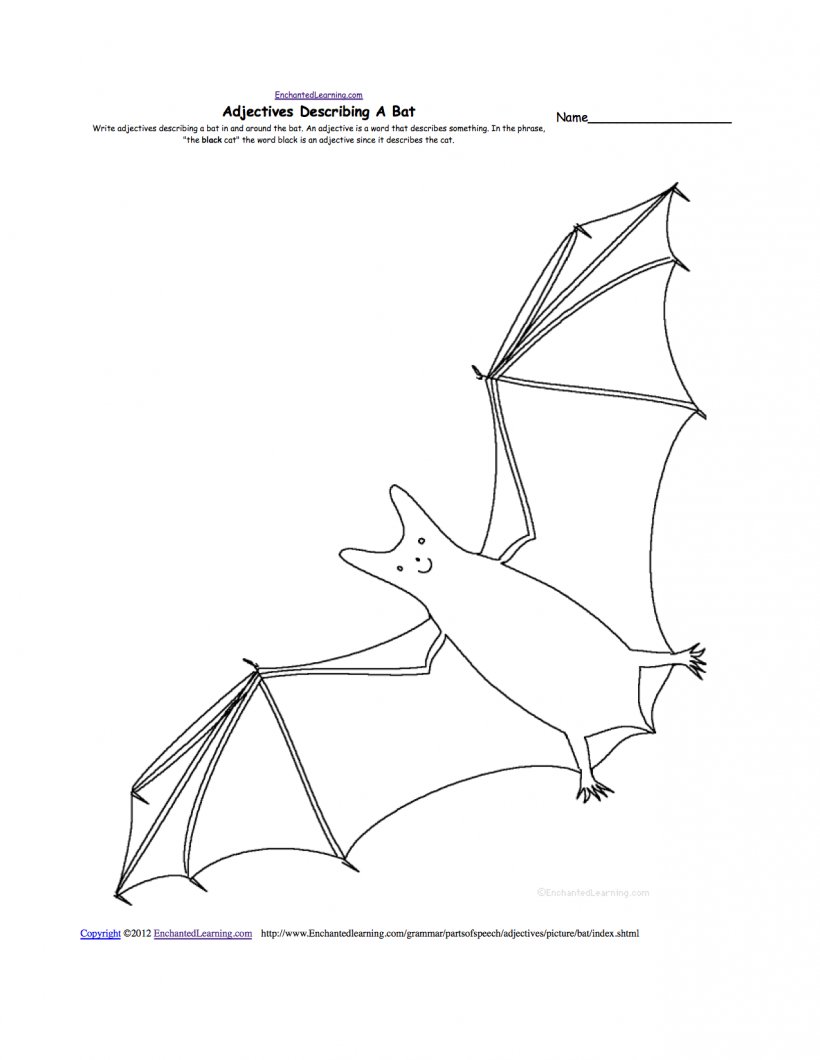 Megabat Drawing Worksheet Anatomy, PNG, 1275x1649px, Bat, Anatomy, Area, Art, Art Paper Download Free