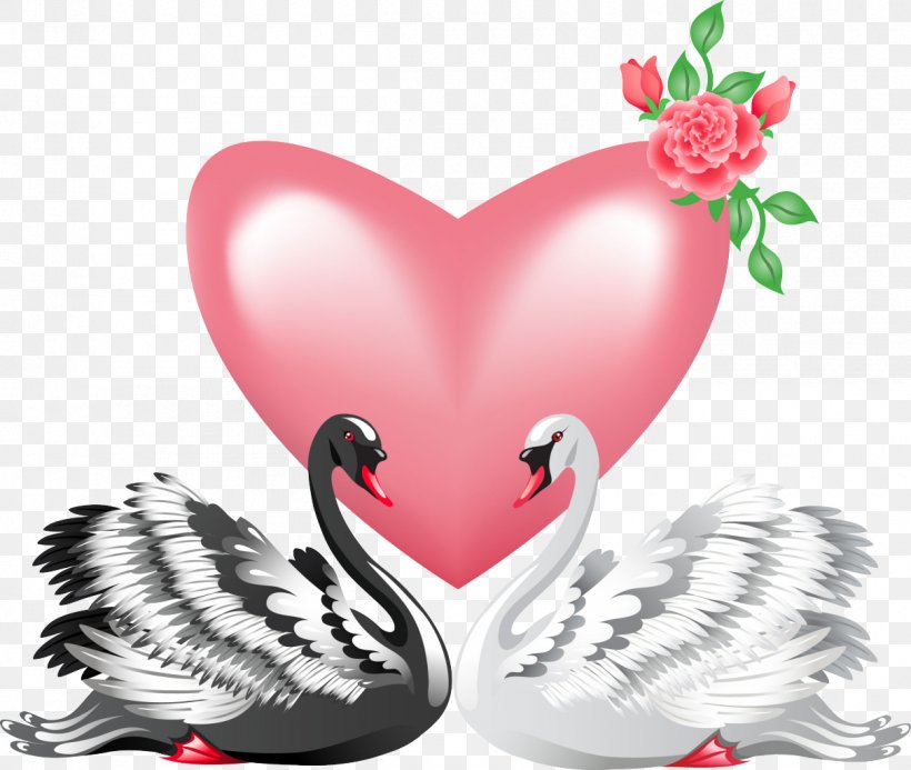 Black Swan Bird Valentine's Day Clip Art, PNG, 1210x1024px, Black Swan, Beak, Bird, Butterfly, Chicken Download Free