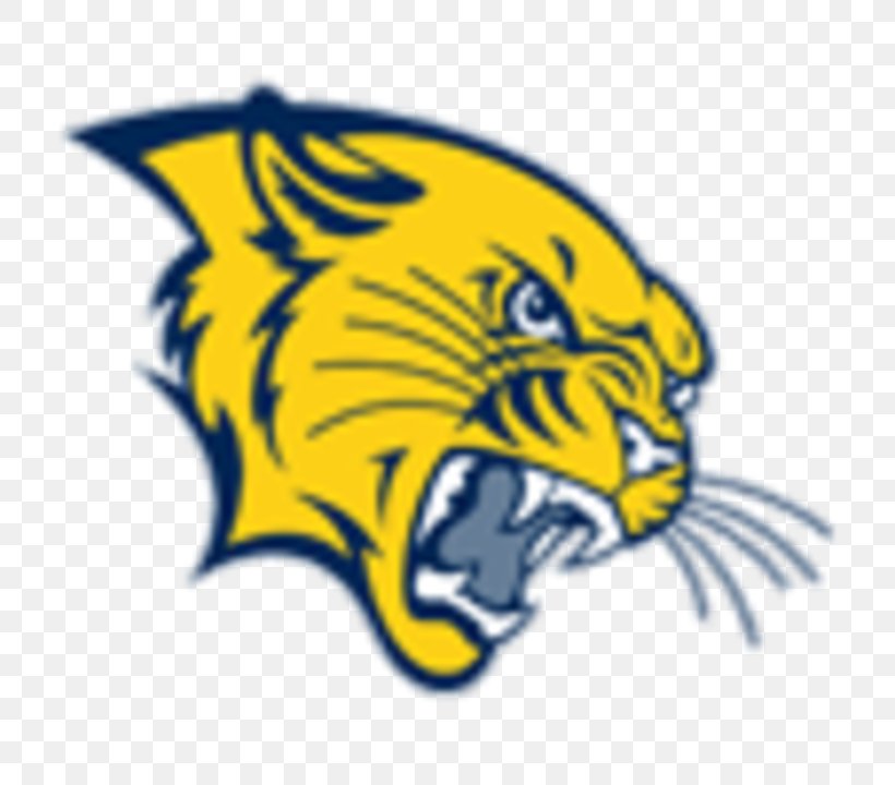 Baldwin Hills Crenshaw High School Houston Cougars Football American Football National Secondary School, PNG, 720x720px, Baldwin Hills, American Football, Artwork, Beak, Carnivoran Download Free