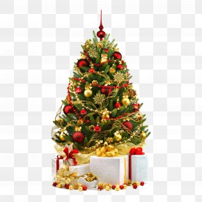 Christmas Tree Santa Claus, PNG, 1296x968px, Christmas Tree, Christmas ...