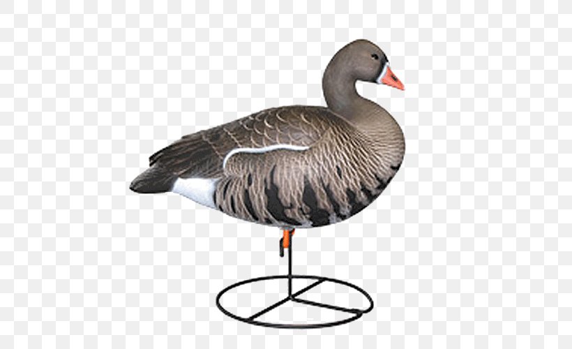 Greylag Goose Duck Mallard Decoy, PNG, 500x500px, Goose, Anseriformes, Beak, Bird, Canada Goose Download Free