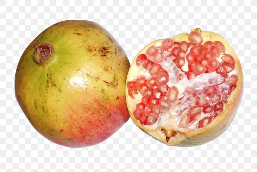 Pomegranate Fruit Auglis Food, PNG, 1024x686px, Pomegranate, Auglis, Food, Fruit, Grenadine Download Free