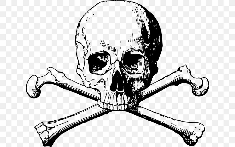 Skull And Bones Skull And Crossbones, PNG, 640x514px, Skull And Bones, Anatomy, Artwork, Automotive Design, Black And White Download Free