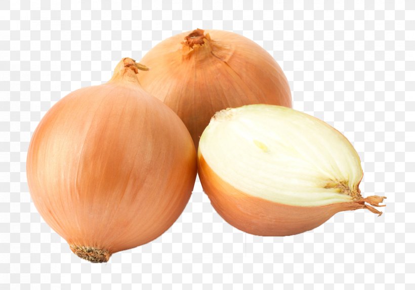 White Onion Yellow Onion Garlic Red Onion Scallion, PNG, 1648x1153px, White Onion, Allium, Food, Fried Onion, Garlic Download Free