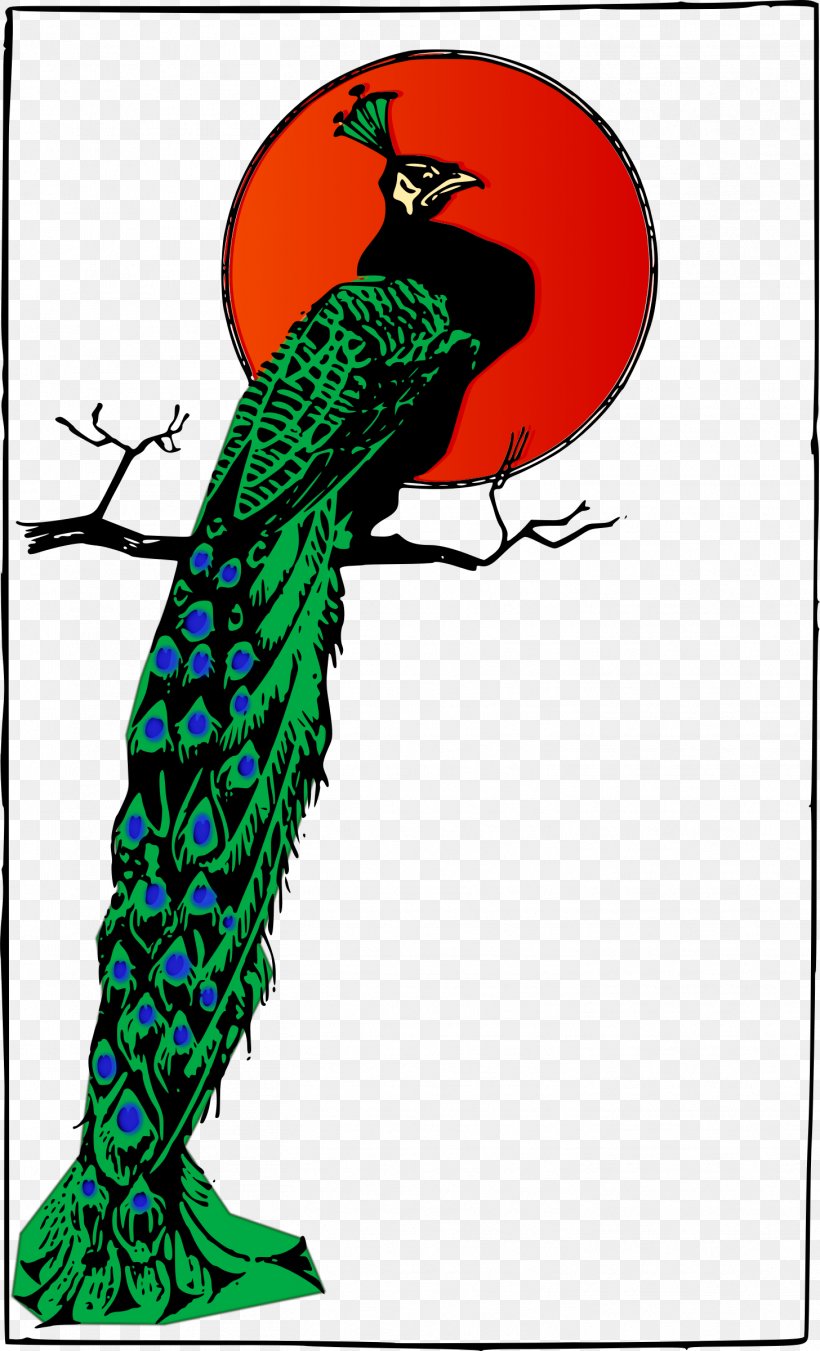 Bird Peafowl Clip Art, PNG, 1456x2400px, Bird, Art, Beak, Fauna, Feather Download Free