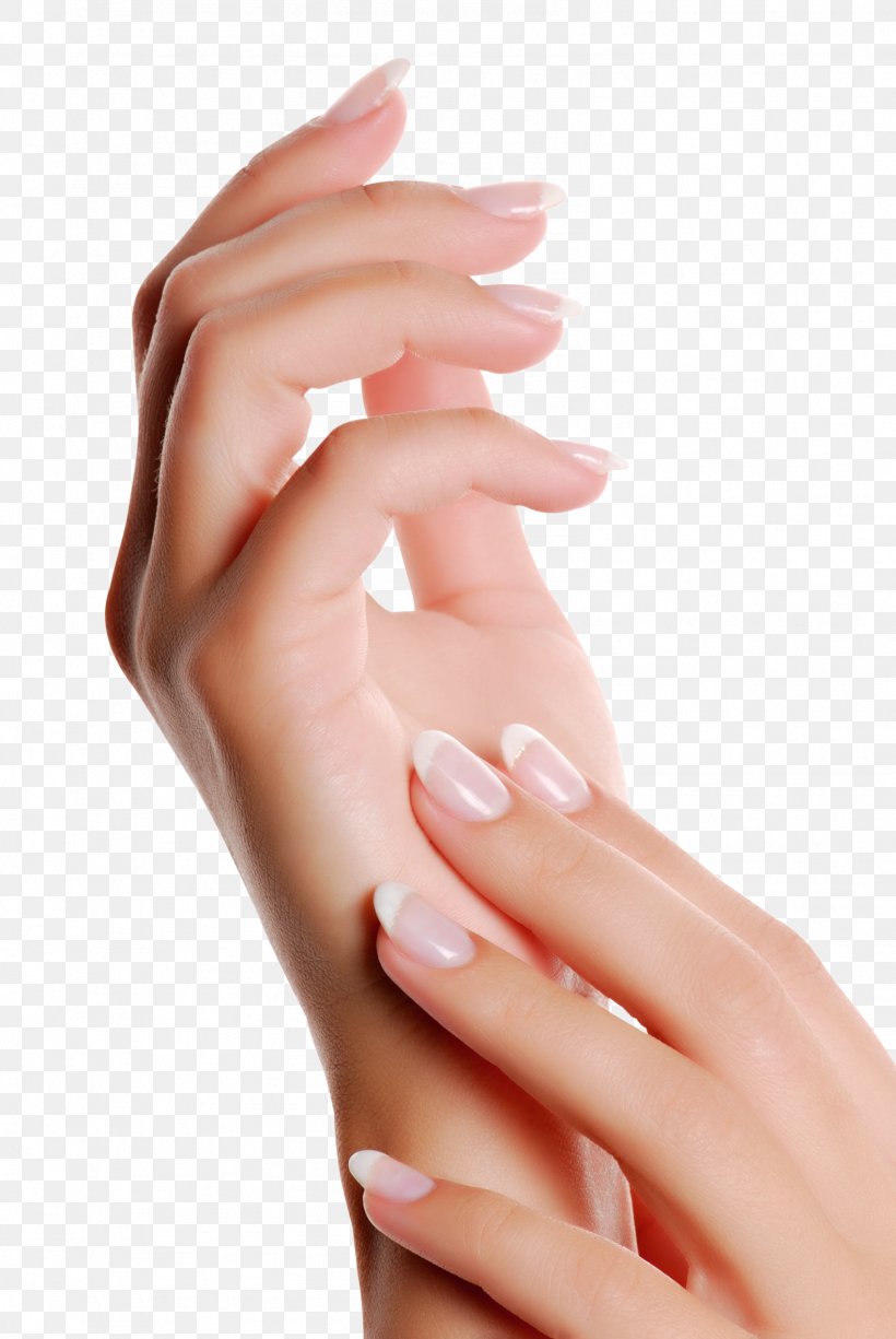 Manicure Artificial Nails Pedicure Nail Polish, PNG, 1581x2362px, Manicure, Artificial Nails, Beauty Parlour, Cosmetics, Cuticle Download Free
