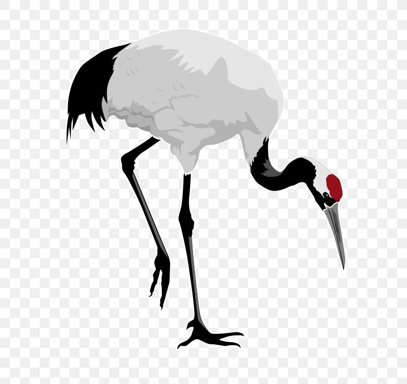 Red-crowned Crane Bird Heron Clip Art, PNG, 736x773px, Crane, Beak, Bird, Blue Crane, Crane Like Bird Download Free