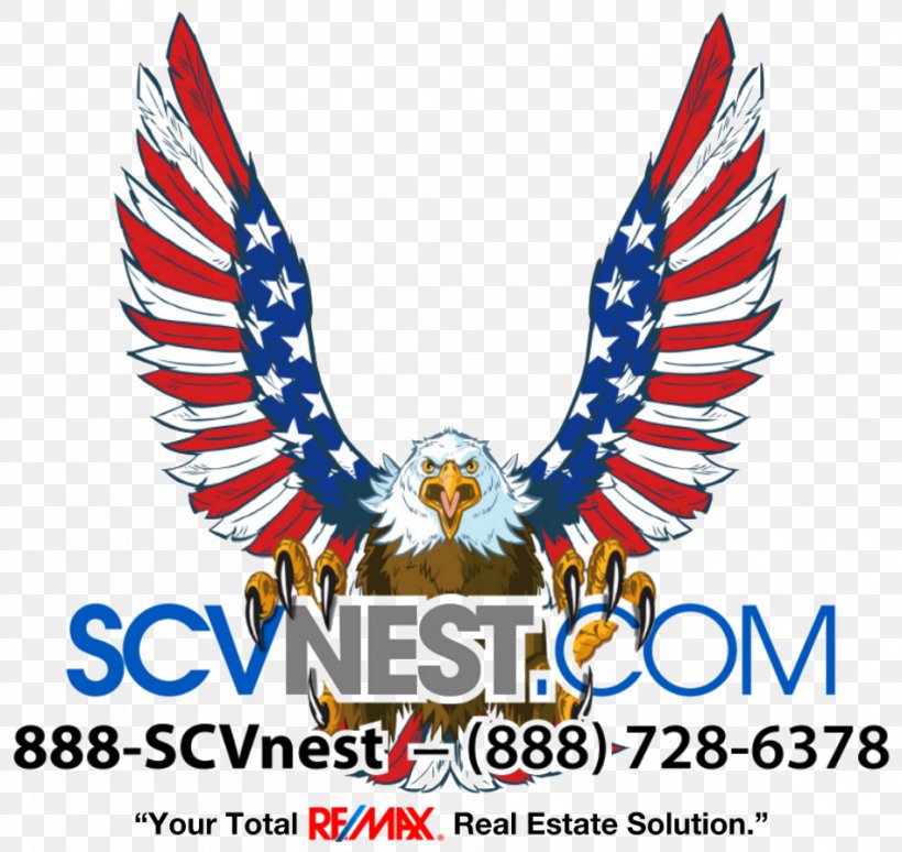 Bald Eagle United States Patriotism Clip Art, PNG, 947x894px, Bald Eagle, Beak, Brand, Drawing, Eagle Download Free