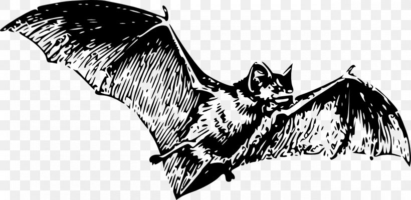 Bat Drawing Clip Art, PNG, 1280x623px, Bat, Art, Artwork, Beak, Bird Download Free