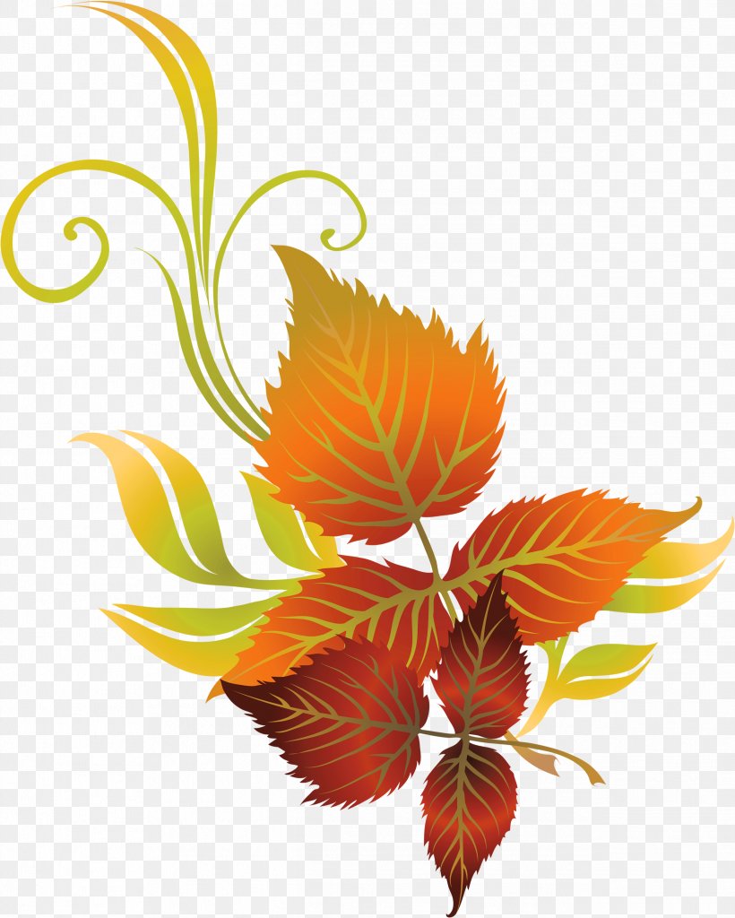 Clip Art Autumn Leaf Color Vector Graphics, PNG, 2534x3167px, Autumn Leaf Color, Art, Autumn, Botany, Flower Download Free