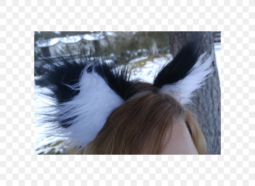Ear Wildcat Tail Fur, PNG, 600x600px, Ear, Animal, Cat, Feather, Fox Download Free